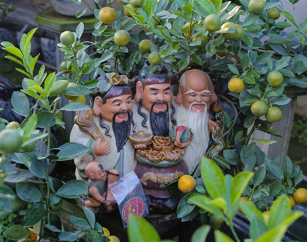 Kiếm hàng trăm triệu nhờ trồng quất cảnh 12 con giáp-8