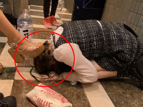 Con trai bị bạn học trêu đến mức muốn tự tử, mẹ trẻ ở Hà Nội đến tận trường xử lý, cái kết khiến ai cũng vỗ tay thán phục-5