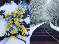 Sa Pa và những điểm ngắm tuyết đẹp nhất châu Á