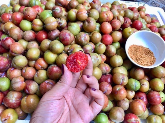 Mận trái mùa giá gần 200.000 đồng/kg cháy hàng-1