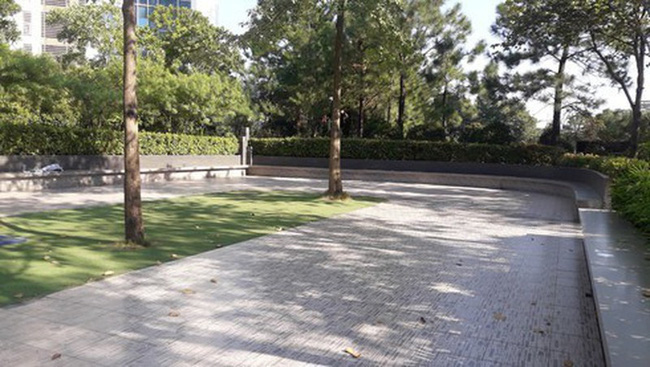 Người hàng xóm đánh cháu bé 12 tuổi bị chấn thương sọ não, chấn thương ngực ở KĐT Ciputra có thể đối diện án phạt nào?-1