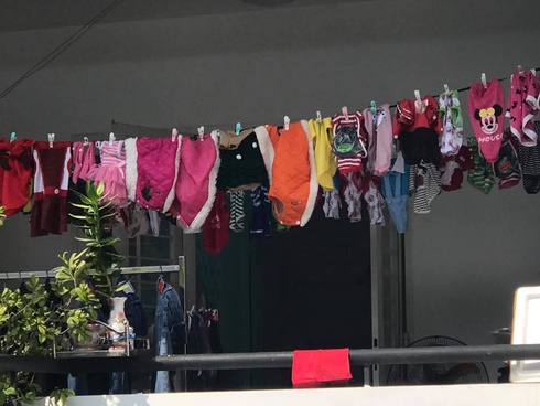 Đi ăn nhà hàng, cô gái hãi hùng khi gắp phải miếng... khăn giấy ướt vớt ra từ nồi lẩu-4