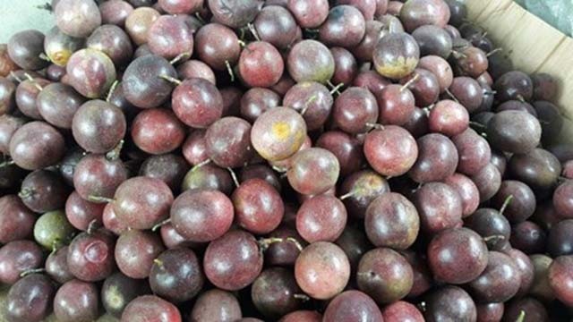 Dân ta lừa dân mình, hàng độc bên Tàu rước về hại nhau-8