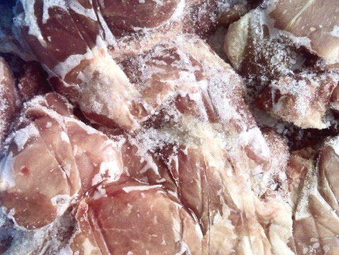 Gốc đào rừng nặng 1 tấn, cao 5 mét hút hồn mọi dân chơi-11