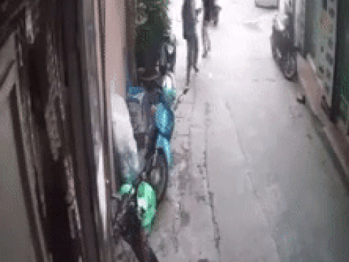 Người đàn ông nằm hẳn xuống đất quay video nhìn trộm nhóm nhảy nữ ở đường phố khiến dân mạng tranh cãi dữ dội-3