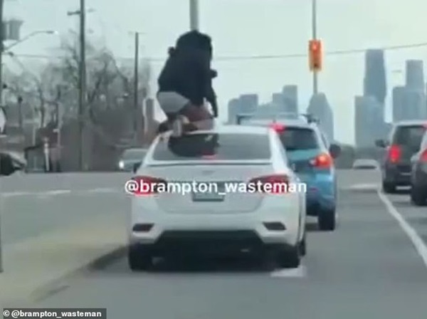 Phát hiện bạn trai cắm sừng, cô gái tự lột quần, nhảy lên ô tô giẫm đạp kinh hoàng-1