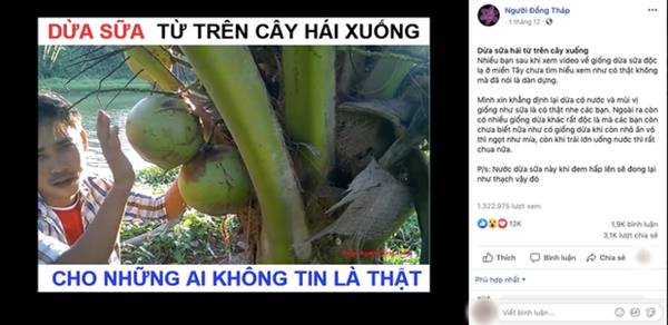 Kỳ lạ dừa sữa độc lạ nhất miền Tây” đang gây tranh cãi kịch liệt: Là có thật hay chiêu trò câu view?-5