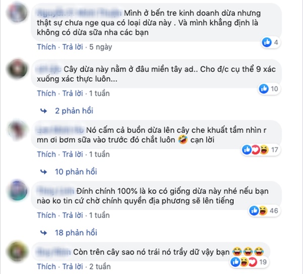 Kỳ lạ dừa sữa độc lạ nhất miền Tây” đang gây tranh cãi kịch liệt: Là có thật hay chiêu trò câu view?-6