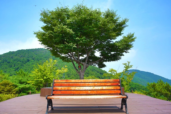 Ăn chơi tại thành phố Tongyeong - nơi U23 tập huấn-5