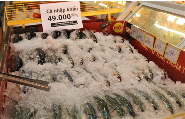 Thịt ‘đội giá’, đến Bách Hóa Xanh săn cá nhập khẩu 49.000 đồng/kg-3