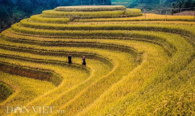 Những hình ảnh tuyệt đẹp về phong cảnh, thiên nhiên Việt Nam-7