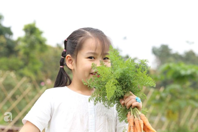 Con chưa từng tham gia bất kỳ lớp luyện thi nào nhưng vẫn đỗ 2 trường Tiểu học hàng đầu Hà Nội, mẹ trẻ bật mí bí quyết không ngờ-2