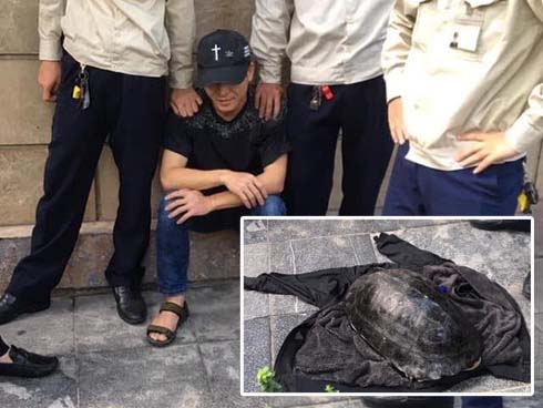 Rùa cạn khổng lồ giá vài chục triệu chơi tết Nguyên đán-12