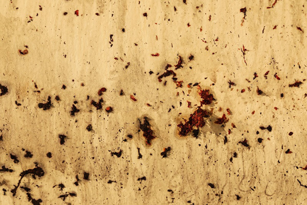 Tỏa 3 - Cuộc thử nghiệm táo bạo của nghệ thuật đương đại-1