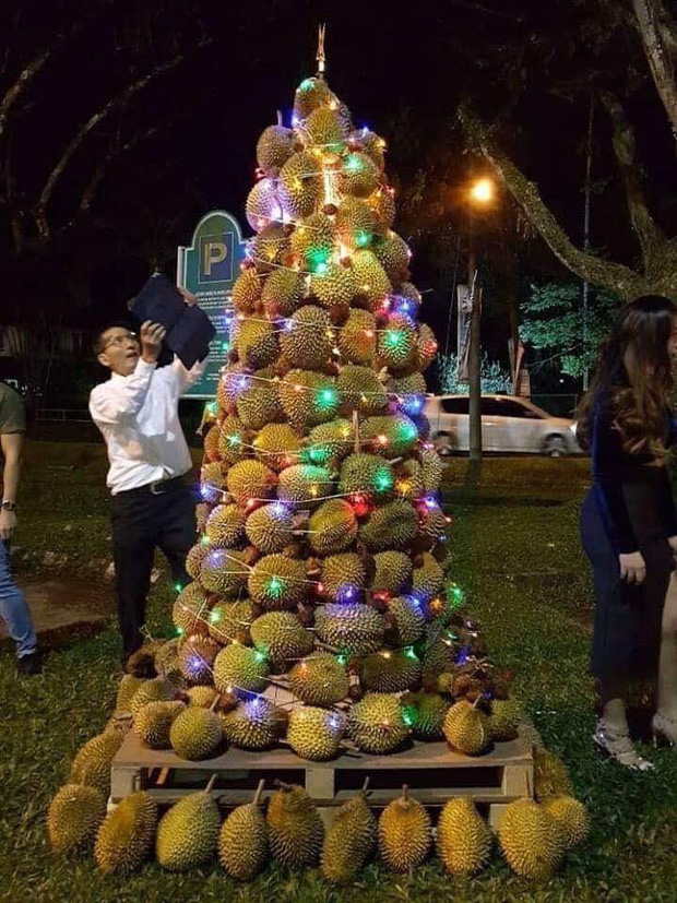 Cây thông Noel khiến dân mạng hò nhau tranh cãi kịch liệt, tất cả là do nguyên liệu đấy!-1