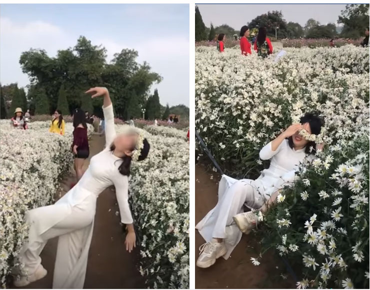 Hình ảnh cô gái nằm ngả ngớn thẳng luống hoa cúc để chụp ảnh khiến dân mạng nóng mắt: Duyên đến thế là cùng!-3