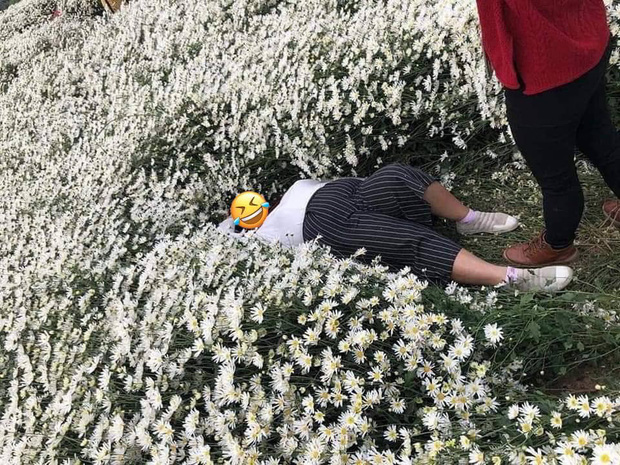 Hình ảnh cô gái nằm ngả ngớn thẳng luống hoa cúc để chụp ảnh khiến dân mạng nóng mắt: Duyên đến thế là cùng!-4