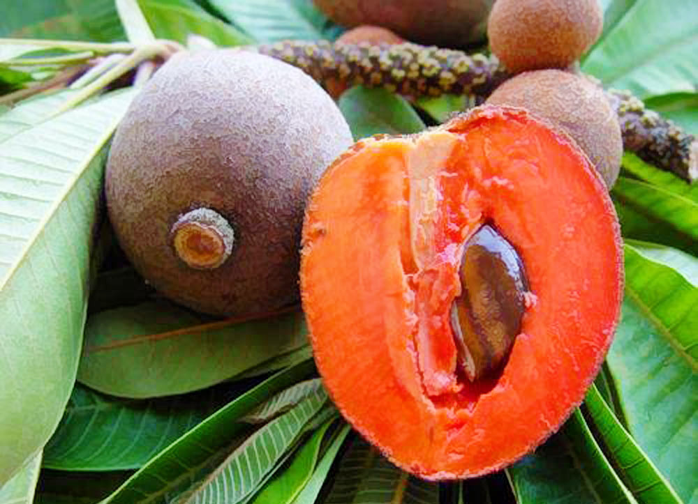 Những loại quả ruột đỏ khiến chị em chao đảo ngay khi xuất hiện-3