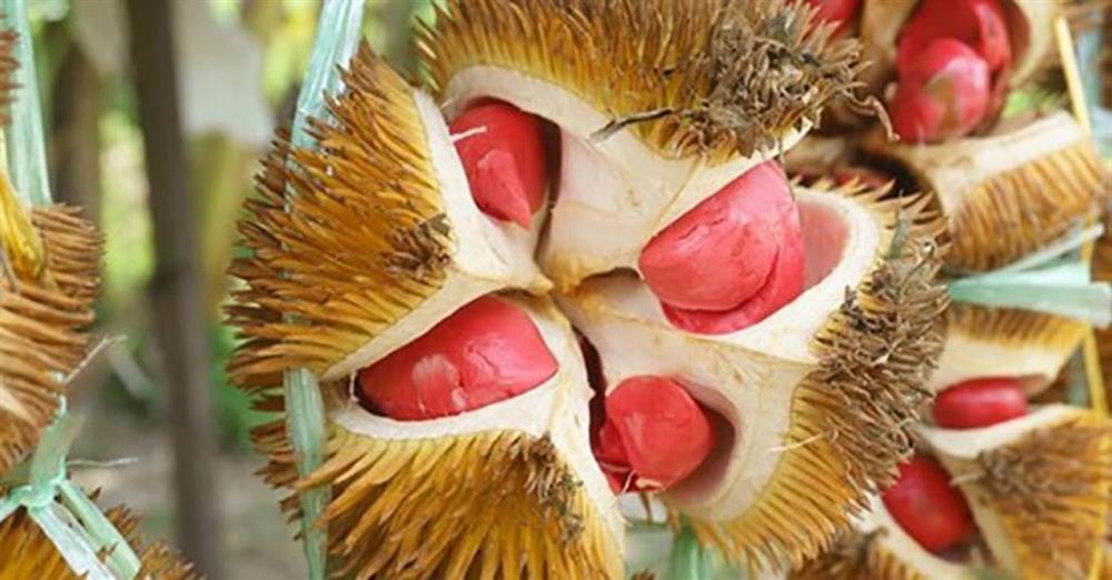 Những loại quả ruột đỏ khiến chị em chao đảo ngay khi xuất hiện-5