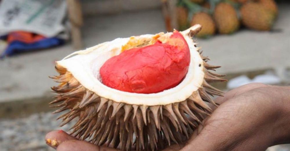 Những loại quả ruột đỏ khiến chị em chao đảo ngay khi xuất hiện-8