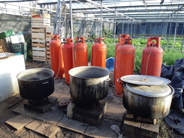 Phát hiện 5 người Việt sống như nô lệ trong hoàn cảnh khổ sở, tù túng tại một vườn ươm cây ở nước Anh-3