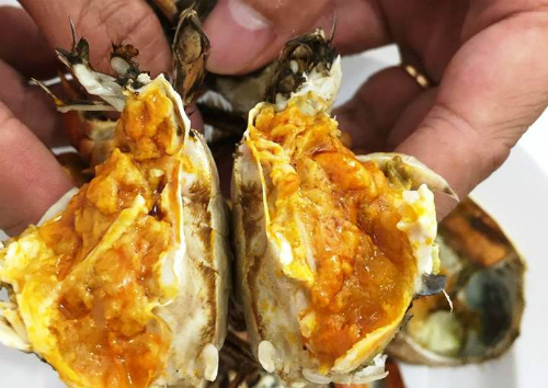 Các loài cua đắt nhất thế giới, có loại giá bằng chiếc ô tô-5