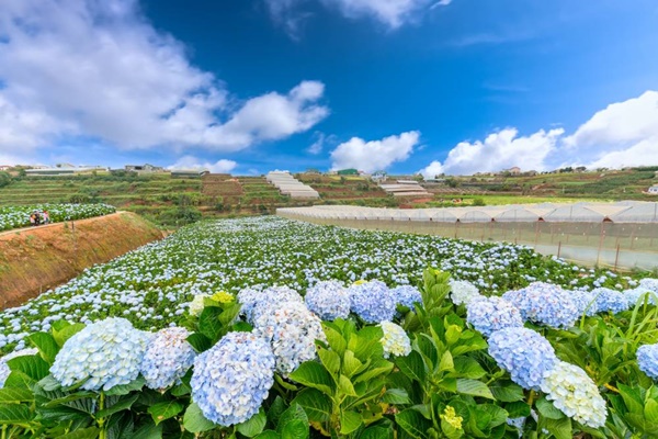 5 điểm đến trong nước lý tưởng cho gia đình dịp Tết Nguyên Đán-1