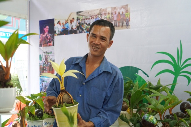 Xuất hiện dừa bonsai đột biến 2 màu cực lạ, hàng độc chơi Tết-2