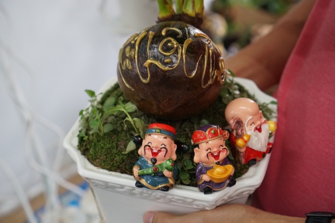 Xuất hiện dừa bonsai đột biến 2 màu cực lạ, hàng độc chơi Tết-10