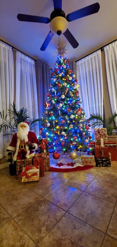 Không gian nhà lung linh, ngập tràn ánh đèn của các sao Việt tại Mỹ vào dịp Noel 2019-29