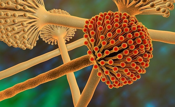 Chất độc gấp 68 lần Asen và gây ung thư hàng đầu luôn có mặt trong bếp-1