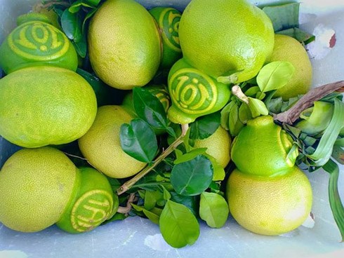 Hơn triệu đồng 1 quả bưởi “lạ”, hàng chưa về khách đã tranh mua hết