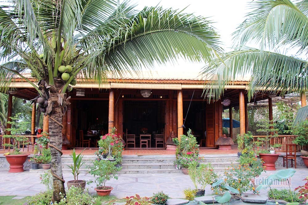 Lùng dừa trăm tuổi 10 năm, vợ chồng lão nông cất nhà độc nhất miền Tây-18