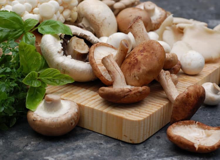 Mệnh danh là món ăn của thượng đế”, hóa ra mỗi loại nấm lại có một quyền năng” chữa bệnh khác nhau, hãy ghi nhớ để ăn cho đúng!-1