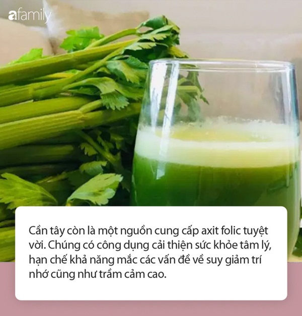 Ăn rau cần tây giúp cơ thể nhận được vô vàn những lợi ích này nhưng ít ai biết-2