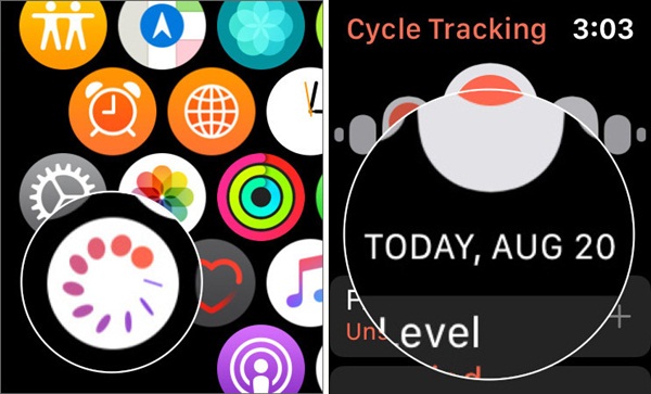 Cách theo dõi chu kỳ kinh trên iPhone và Apple Watch-9