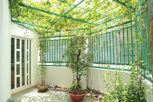 Nhà trị giá 17 tỷ đồng của diễn viên hài Nhật Cường ở Sài Gòn-8