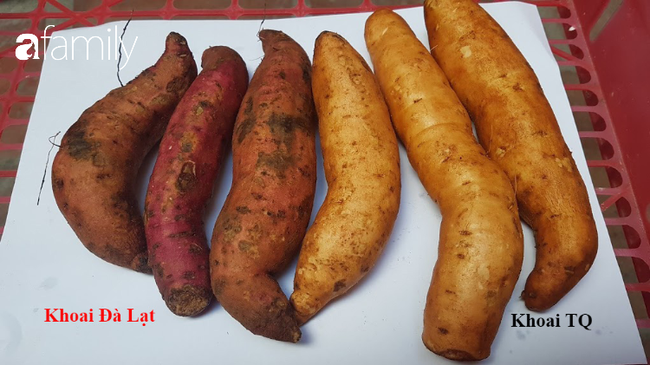 Mùa lạnh ăn khoai lang mật nướng là hết sảy, nhưng chị em đã biết phân biệt khoai Trung Quốc đội lốt Đà Lạt để khỏi mua nhầm chưa?-2