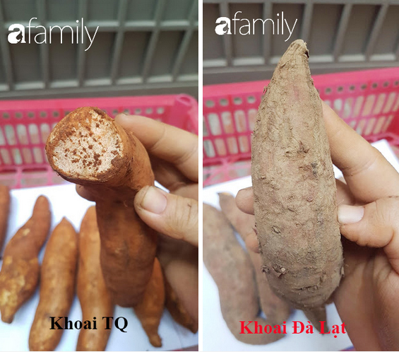 Mùa lạnh ăn khoai lang mật nướng là hết sảy, nhưng chị em đã biết phân biệt khoai Trung Quốc đội lốt Đà Lạt để khỏi mua nhầm chưa?-6