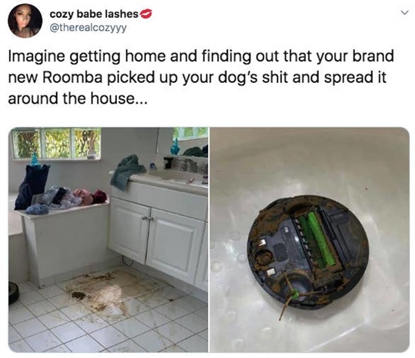 Cho rằng mình đen đủi nhất năm 2019? Hãy yên tâm vì bạn vẫn may mắn chán so với 11 trường hợp dưới đây-7