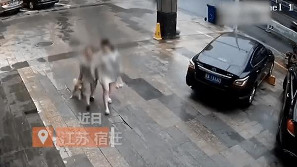 Thấy chó dễ thương, hai cô gái trẻ tháo dây rồi xách cổ lôi đi một cách thản nhiên, xem camera giám sát ai cũng phẫn nộ-1