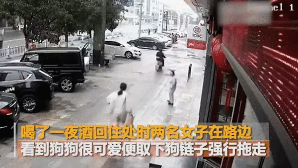 Thấy chó dễ thương, hai cô gái trẻ tháo dây rồi xách cổ lôi đi một cách thản nhiên, xem camera giám sát ai cũng phẫn nộ-3