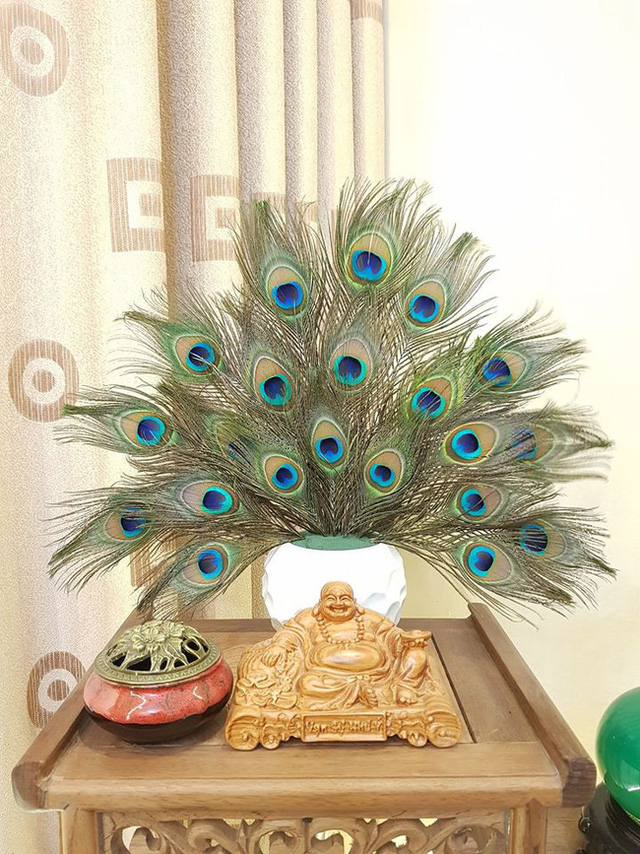 Những ngày sát Tết, lông công phong thủy bỗng trở thành trào lưu mua sắm mới được nhiều người săn tìm-6