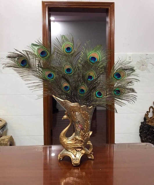 Những ngày sát Tết, lông công phong thủy bỗng trở thành trào lưu mua sắm mới được nhiều người săn tìm-8