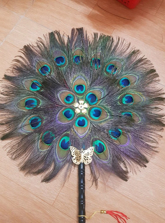 Những ngày sát Tết, lông công phong thủy bỗng trở thành trào lưu mua sắm mới được nhiều người săn tìm-10