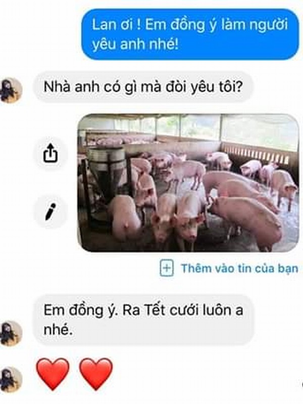 Khi món ăn quốc dân - thịt lợn lên giá chóng mặt, dân mạng cũng có cách xả sốc của riêng mình-9