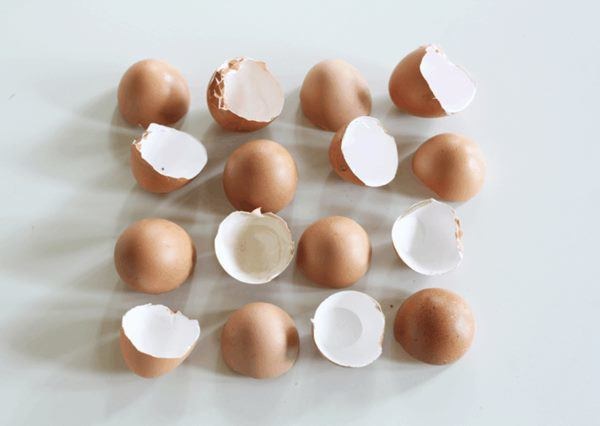 Giữ vỏ trứng lại, bạn sẽ nhận được những tác dụng đáng kinh ngạc-3