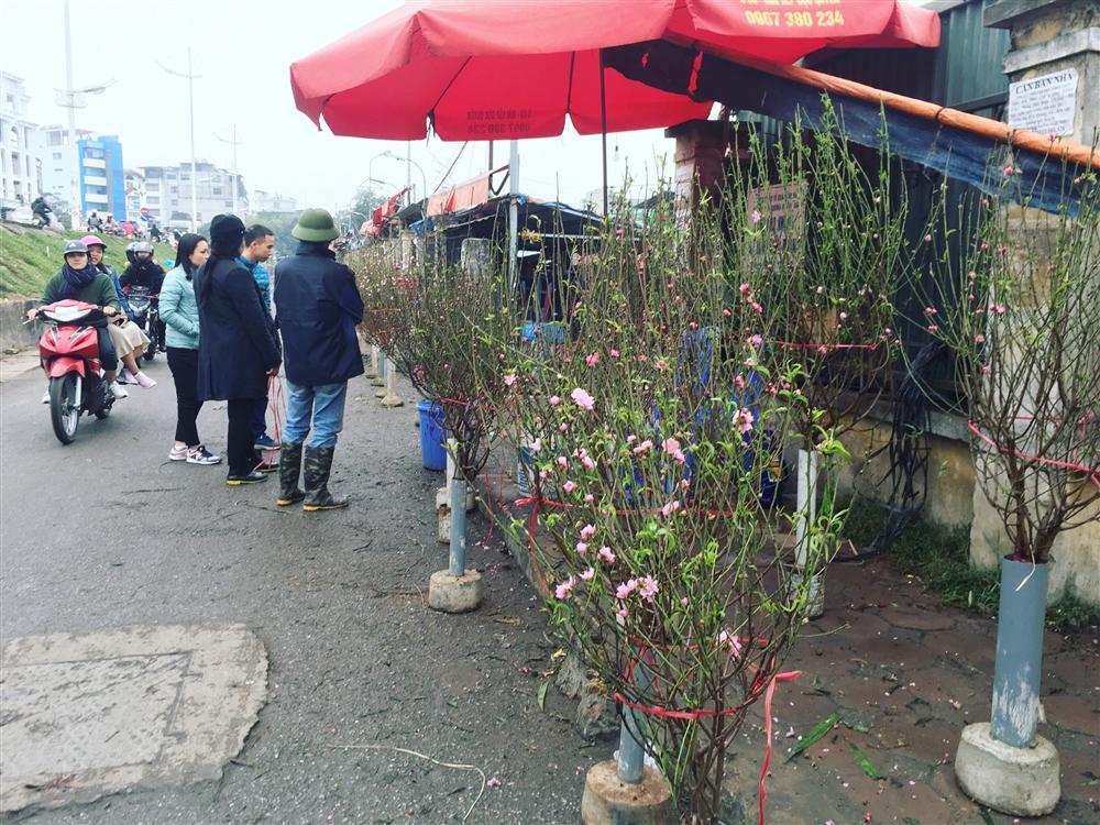 Chơi Tết sớm, một triệu đồng mua 1 cành đào nhỏ xinh-5