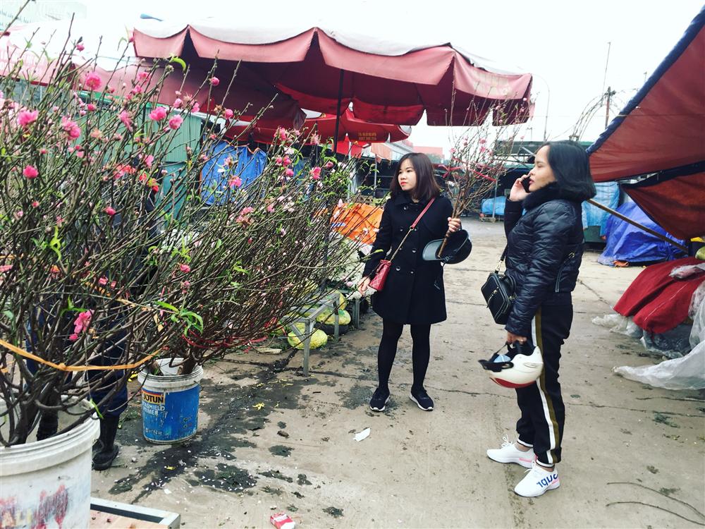 Chơi Tết sớm, một triệu đồng mua 1 cành đào nhỏ xinh-6