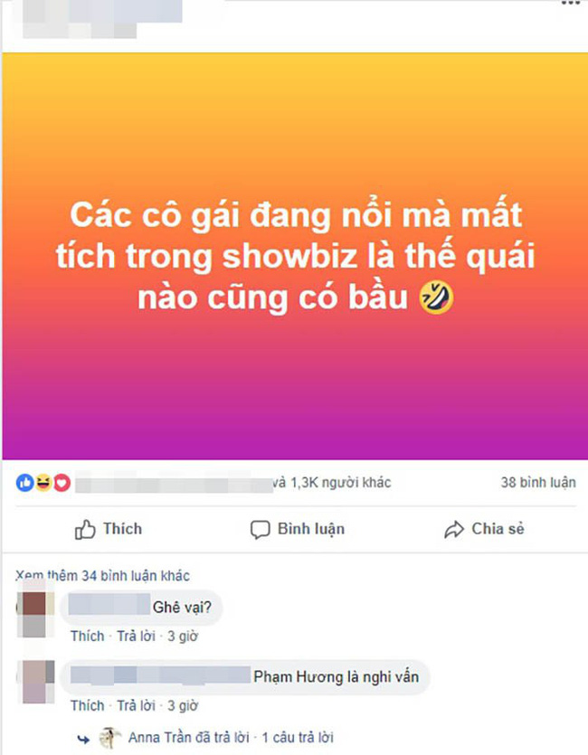 Phạm Hương đã chối đây đẩy nhiều lần chuyện mang thai, netizen nhận xét: Đây là biểu hiện của sự lươn lẹo-2